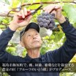 画像3: 伊達産果物のフルーツビネガー「いちご・ブドウ・もものビネガー」３本セット (3)